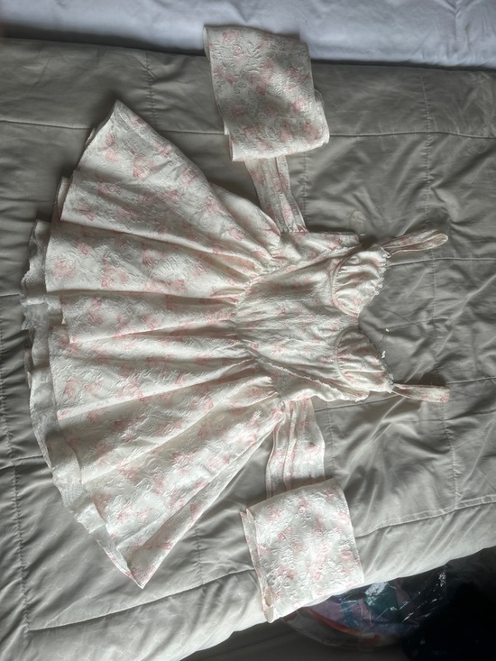 Honey Dresses & Skirts - Floral Embroidered Mini Dress in Soft Pink and Cream